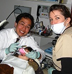 dentists working on toddlers smile