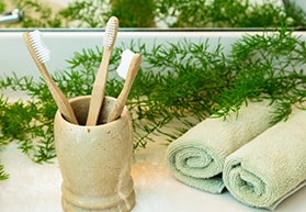 Toothbrushes in a clay cup