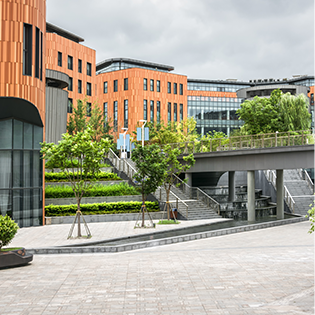 New York University
